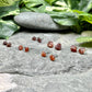 Raw Hessonite Garnet Earrings / Rough Orange Garnet Studs / Raw Crystal Studs / Garnet Stud Earrings / Healing Gemstones / Hessonite Studs